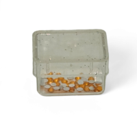 Steentjes 6 oranje - Image 2